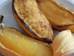 Ketahui Manfaat Pisang Rebus Bagi Kesehatan