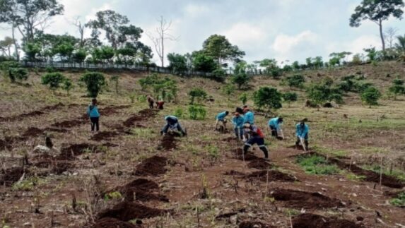 PT RPN Perkuat Ekonomi Petani Lewat Program Kopi Robusta