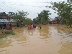 PTPN I Diminta “Hengkang” dari Areal Hutan Resapan Sei Batang Serangan
