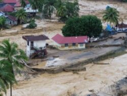Pasca Banjir Sumatra, Kebun Sawit Bakal Dikembalikan Fungsinya Jadi Hutan