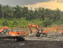 Petugas Gabungan Gerebek Tambang Ilegal di Cagar Alam Teluk Adang