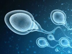 Sperma Mengendap Lama Bisa Bahaya, Beresiko Kanker Prostat