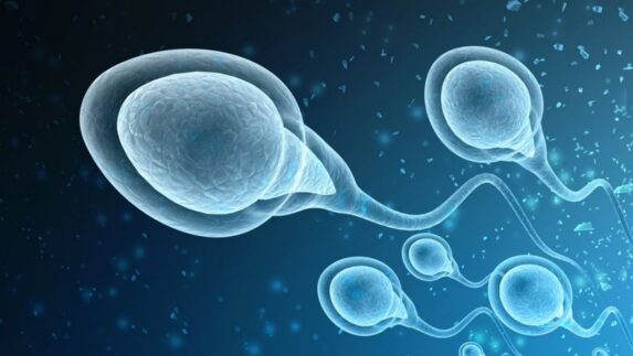 Sperma Mengendap Lama Bisa Bahaya, Beresiko Kanker Prostat