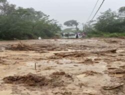 Diduga Picu Bencana Sumatra, Sejumlah Perusahaan Diperiksa