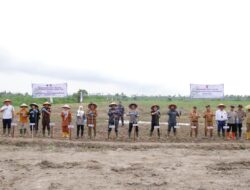 Walikota Tanjungbalai dan Forkopimda Tanam Jagung di Lahan Lanal TBA