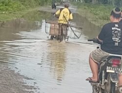 Hujan Deras Guyur Langkat, Air Genangi Sejumlah Desa