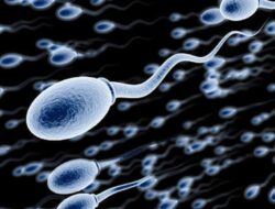 Jangan Biarkan Sperma Mengendap Lama, Ini Bahayanya Bagi Kaum Pria