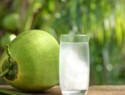 Kelompok Ini Disarankan Tak Minum Air Kelapa
