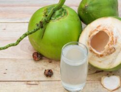 Manfaat Menakjubkan Air Kelapa Hijau, Bisa Cegah Batu Ginjal