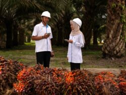 PalmCo Catat 23,3 Juta Jam Kerja Aman Zero Accident