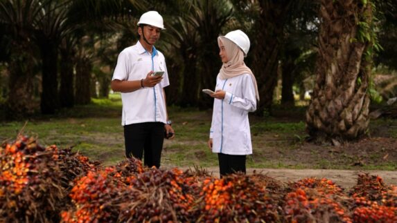 PalmCo Catat 23,3 Juta Jam Kerja Aman Zero Accident