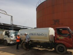 PalmCo Integrasikan Logistik Lewat PalmGO dan PALMSTOCK