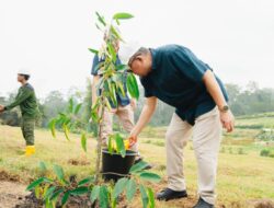 Sepanjang 2025, PTPN IV Regional 3 Tanam 10.500 Pohon di Riau