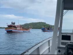 TNI AL Amankan Dua Unit Kapal Pengangkut Ratusan Ekor Babi di Perairan Nias Utara