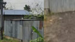 Gudang Penampungan Oli Kotor di Pasar IX Manunggal Diduga Operasi Tanpa Izin