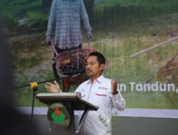 Aspekpir Apresiasi Pola Single Management PalmCo