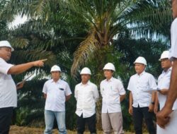 Holding Perkebunan Nusantara Wujudkan Social Sustainability di Industri Sawit