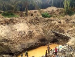 Tambang Emas Ilegal di Madina Disebut Terorganisir dengan Kejahatan Lain