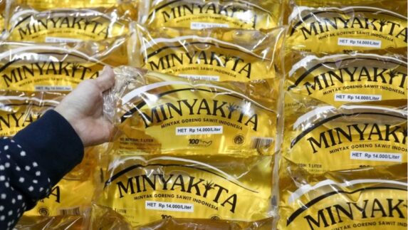 PalmCo Genjot Produksi CPO dan Minyak Goreng