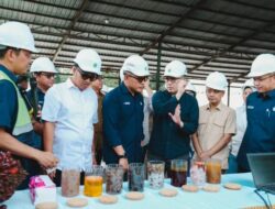 Transformasi PalmCo Dinilai Jadi Fondasi Kemandirian Pangan dan Energi
