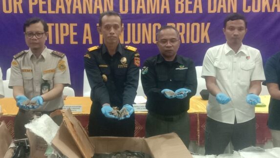 Bea Cukai Tanjung Priok Gagalkan Penyelundupan 3 Ton Sisik Trenggiling