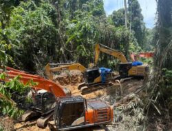 Polda Sumut Bongkar Tambang Emas Ilegal Beromzet Miliaran, 14 Unit Ekskavator Diamankan