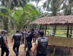 Polres Binjai Kembali Gerebek dan Musnahkan Barak Narkoba di Kecamatan Selesai