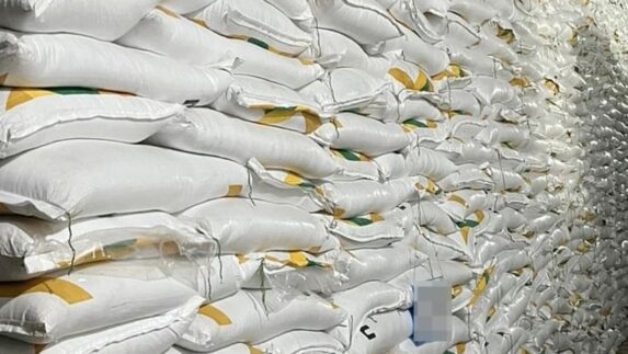 PT SGN Rugi Rp600 Miliar Lebih Dampak Impor Gula Tak Terkendali