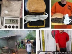 Dalam 5 Hari, Polda Sumut Berhasil Ringkus 342 Pelaku dan Gempur 57 Sarang Narkoba