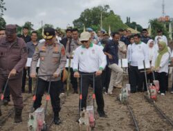 Dukung Ketahanan Pangan, PalmCo Perkuat Kemitraan Petani di Jambi