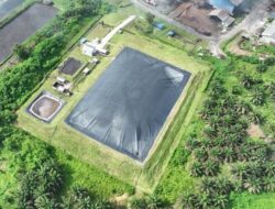 Holding Perkebunan Nusantara Perkuat Transisi Energi Bersih Melalui Perdagangan Karbon PTPN IV PalmCo