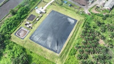 Holding Perkebunan Nusantara Perkuat Transisi Energi Bersih Melalui Perdagangan Karbon PTPN IV PalmCo