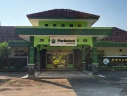 Kasus Dugaan Korupsi Pengangkutan Kayu di KPH Ngawi Naik ke Penyidikan