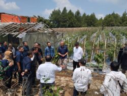 Perkuat Ketahanan Pangan, PTPN I Gandeng Jinxiang Kembangkan Bawang