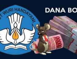 BPK Temukan Pengelolaan BOS Bermasalah, Ratusan Kepsek Mundur ‘Berjamaah’