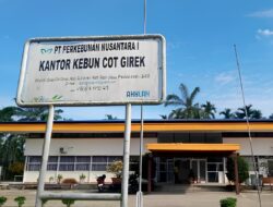 Kebun PTPN Cot Girek Diokupasi dan Dijarah: Pekerja Menderita, Negara Rugi Miliaran Rupiah