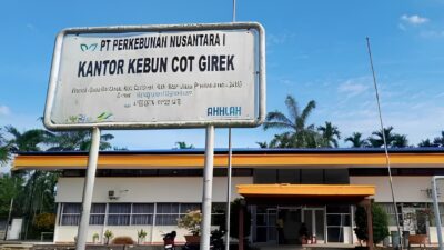 Kebun PTPN Cot Girek Diokupasi dan Dijarah: Pekerja Menderita, Negara Rugi Miliaran Rupiah