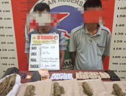 Polres Palas Tangkap Dua Terduga Pengedar Ganja