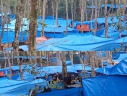 Tambang Emas Ilegal di Hutabargot Bebas Operasi, Pemilik Diduga Setor ‘Upeti’