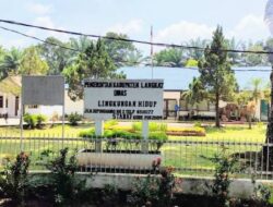 Kadis LH Langkat ‘Buang Badan’ Soal Polemik Pemangkasan Pohon