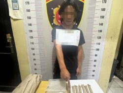 Gerebek Warung Tuak di Balige, Polres Toba Temukan Ratusan Gram Ganja