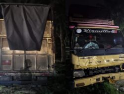 Laga Kambing di Jalinsum Sei Bamban, Pengendara Motor Patah Tulang