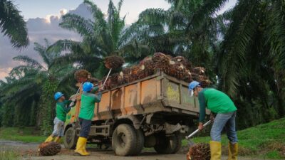 Produksi Tumbuh Dua Digit, Kebun Bah Birung Ulu Perkuat Transformasi dan Pemberdayaan Masyarakat