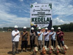 PTPN IV PalmCo Matangkan Pilot Project Kedelai Dukung Percepatan Swasembada Pangan